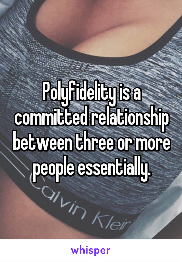 Polyfidelity is a committed relationship between three or more people essentially.