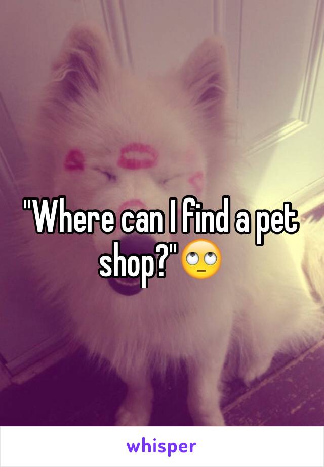 "Where can I find a pet shop?"🙄