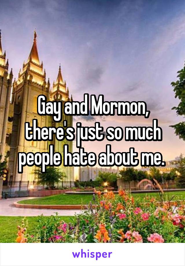 Gay and Mormon, there's just so much people hate about me. 