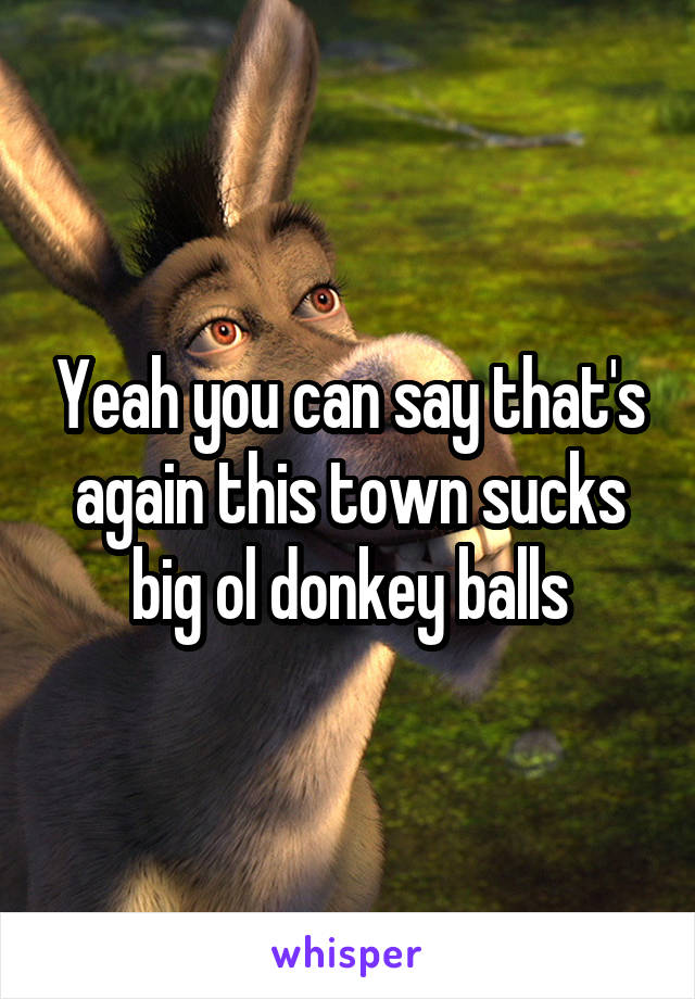 Yeah you can say that's again this town sucks big ol donkey balls