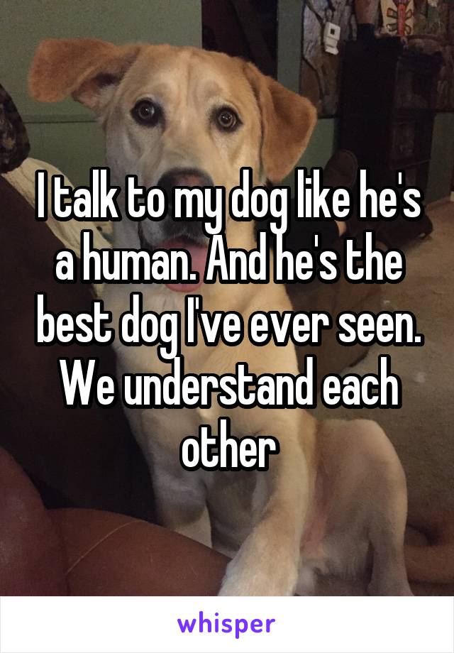 I talk to my dog like he's a human. And he's the best dog I've ever seen. We understand each other