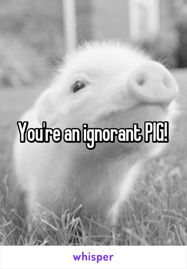 You're an ignorant PIG! 