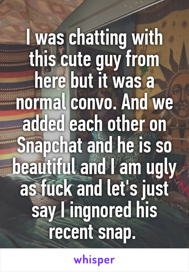 I was chatting with this cute guy from here but it was a normal convo. And we added each other on Snapchat and he is so beautiful and I am ugly as fuck and let's just say I ingnored his recent snap. 