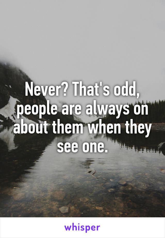 Never? That's odd, people are always on about them when they see one.