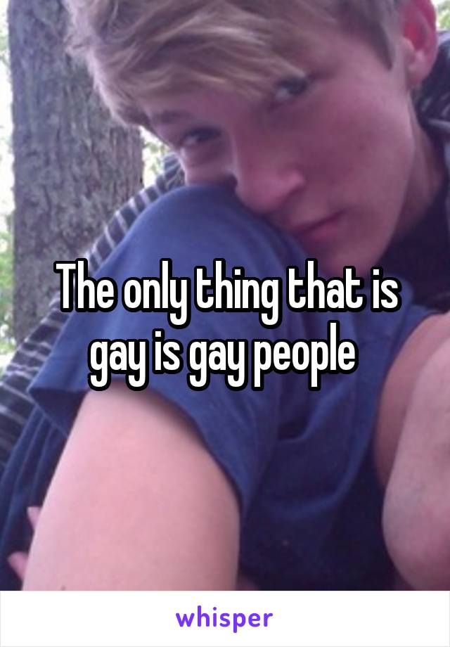 The only thing that is gay is gay people 