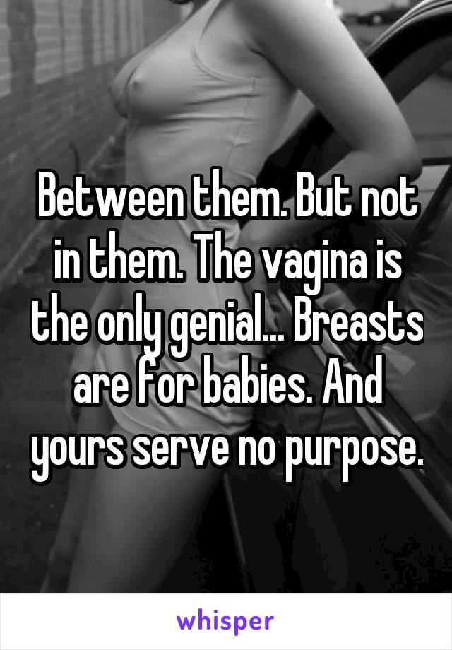 Between them. But not in them. The vagina is the only genial... Breasts are for babies. And yours serve no purpose.