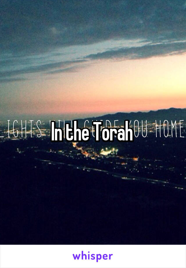 In the Torah 