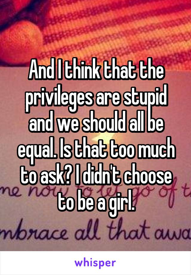 And I think that the privileges are stupid and we should all be equal. Is that too much to ask? I didn't choose to be a girl.