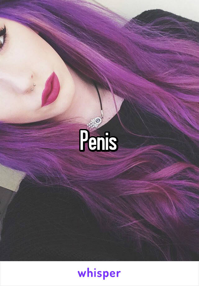 Penis 