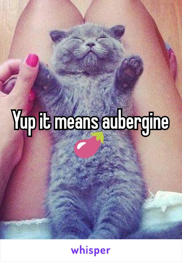 Yup it means aubergine 🍆 