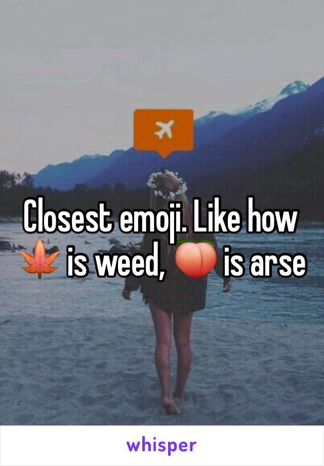 Closest emoji. Like how 🍁 is weed, 🍑 is arse