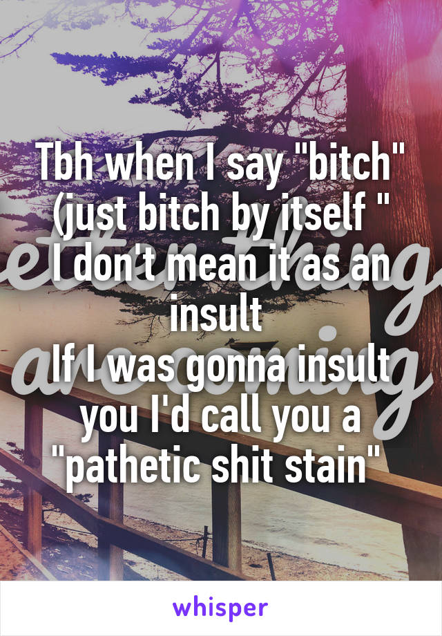 Tbh when I say "bitch" (just bitch by itself "
I don't mean it as an insult 
If I was gonna insult you I'd call you a "pathetic shit stain" 