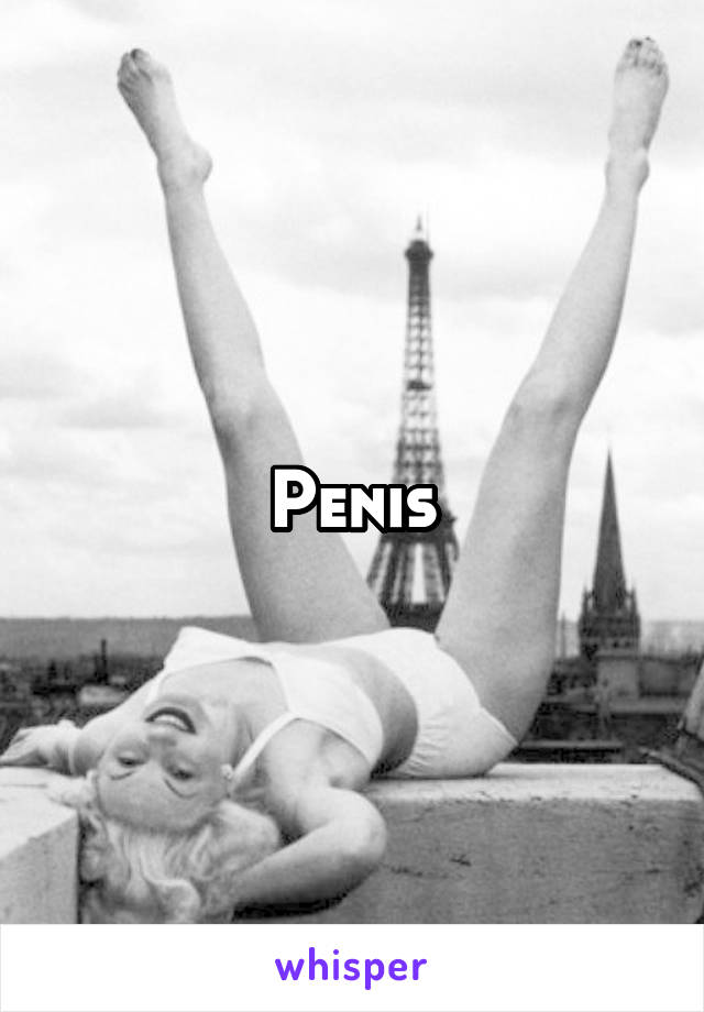 Penis