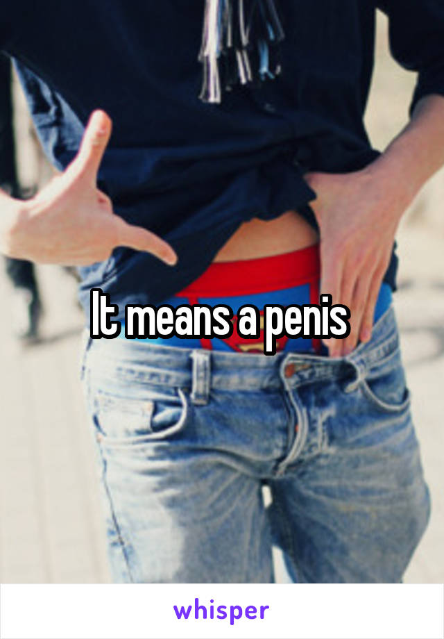 It means a penis 