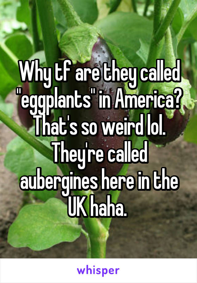 Why tf are they called "eggplants" in America? That's so weird lol. They're called aubergines here in the UK haha. 