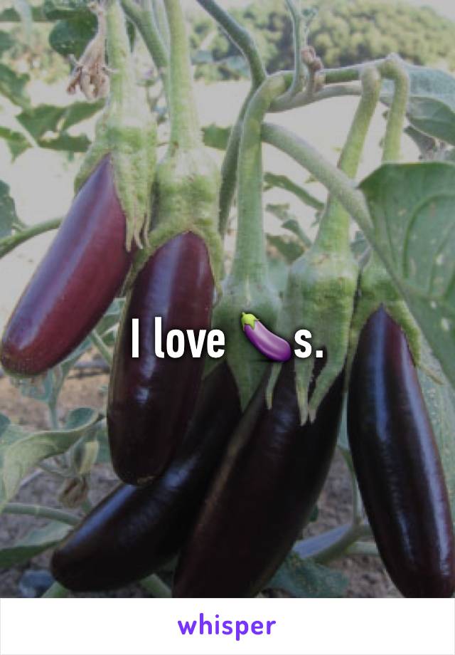 I love 🍆s.