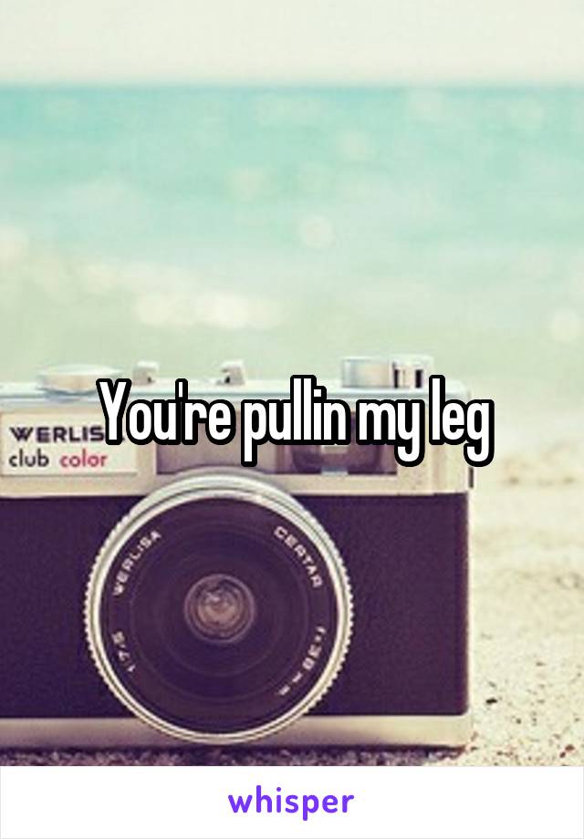 You're pullin my leg