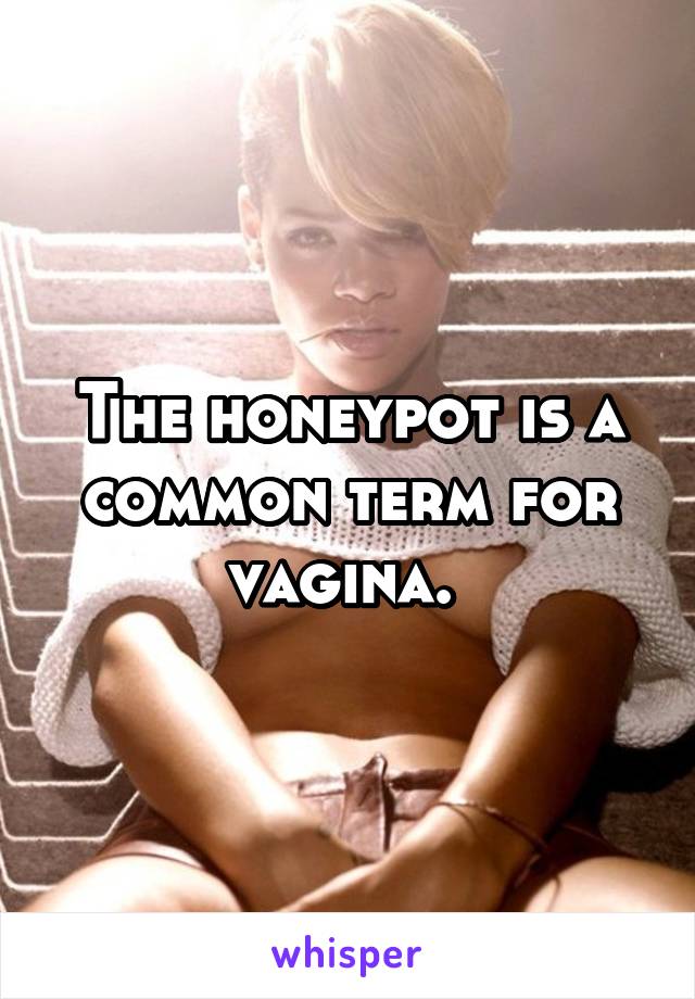 The honeypot is a common term for vagina. 