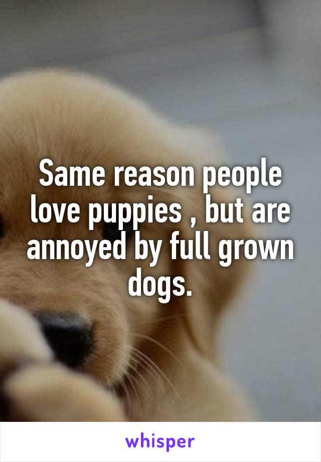 Same reason people love puppies , but are annoyed by full grown dogs.