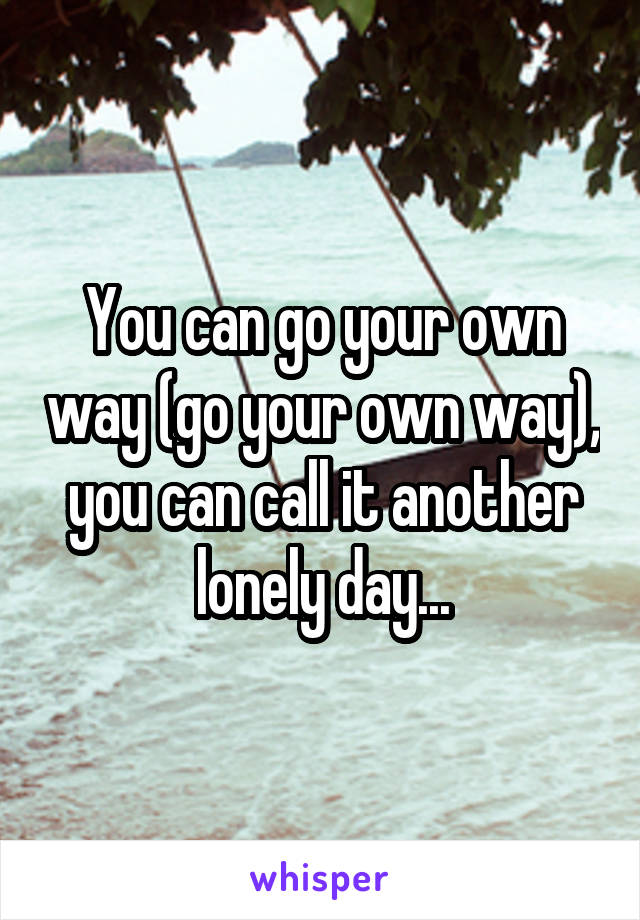 You can go your own way (go your own way), you can call it another lonely day...