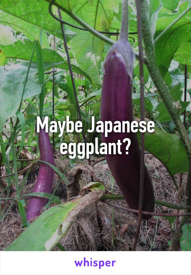 Maybe Japanese eggplant?