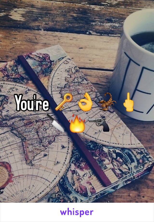 You're 🔑👌🦂🖕🔪🔥🔫