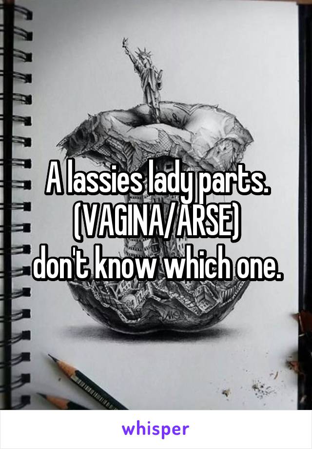 A lassies lady parts.
(VAGINA/ARSE)
don't know which one.