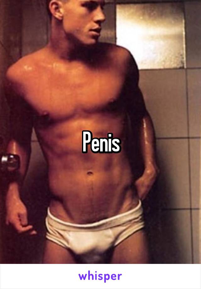 Penis