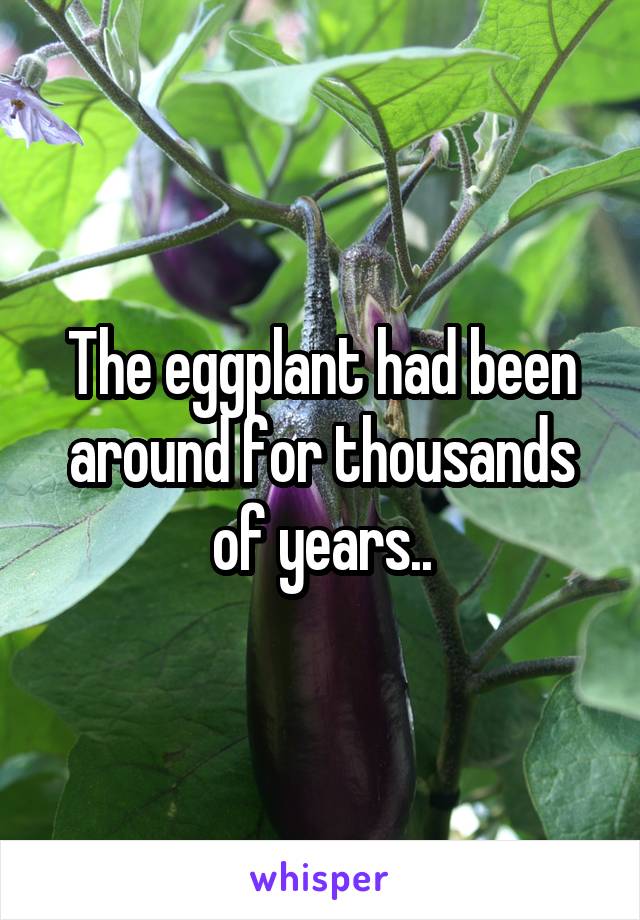 The eggplant had been around for thousands of years..