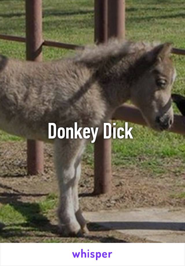 Donkey Dick 