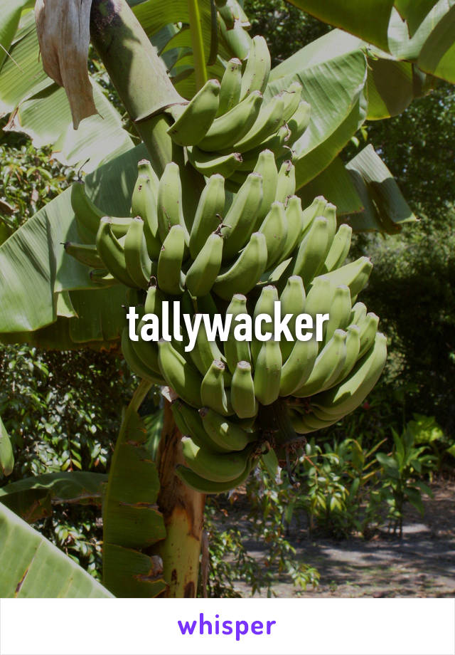 tallywacker