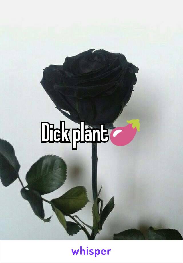 Dick plant🍆