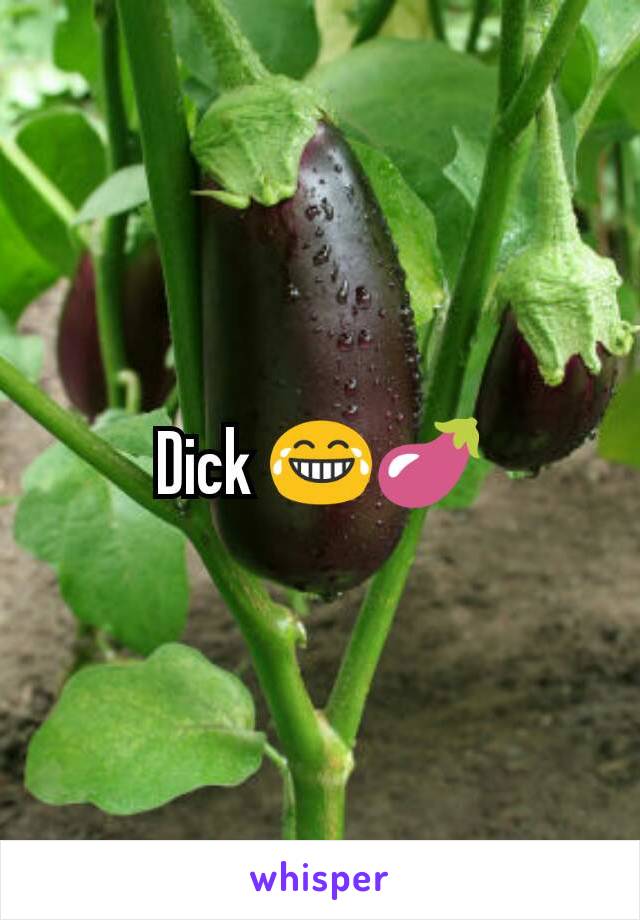 Dick 😂🍆