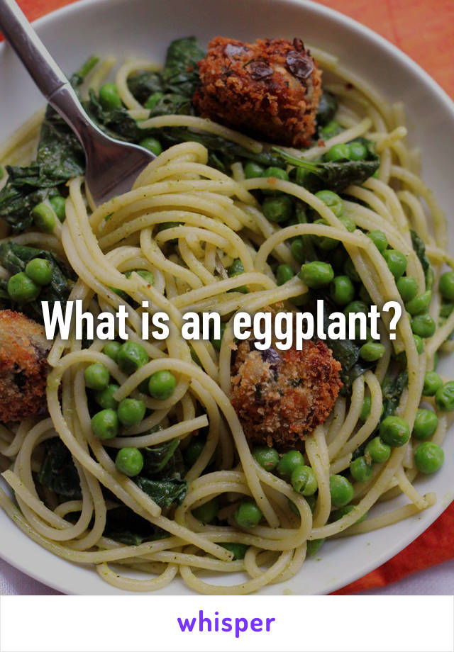 What is an eggplant? 