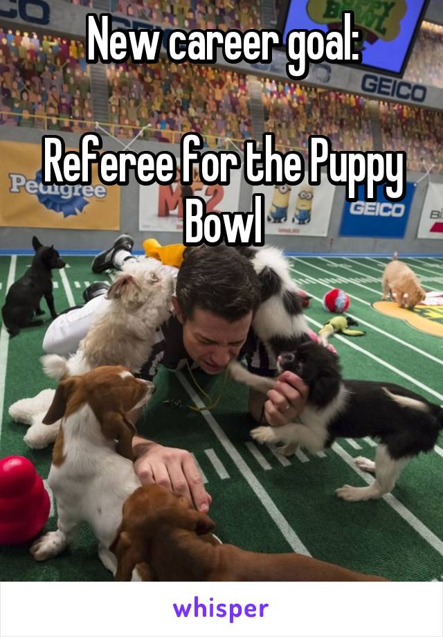 New career goal:

Referee for the Puppy Bowl





