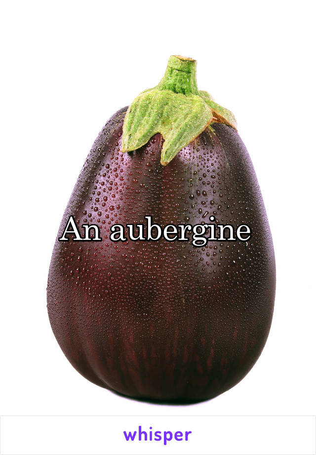 An aubergine 