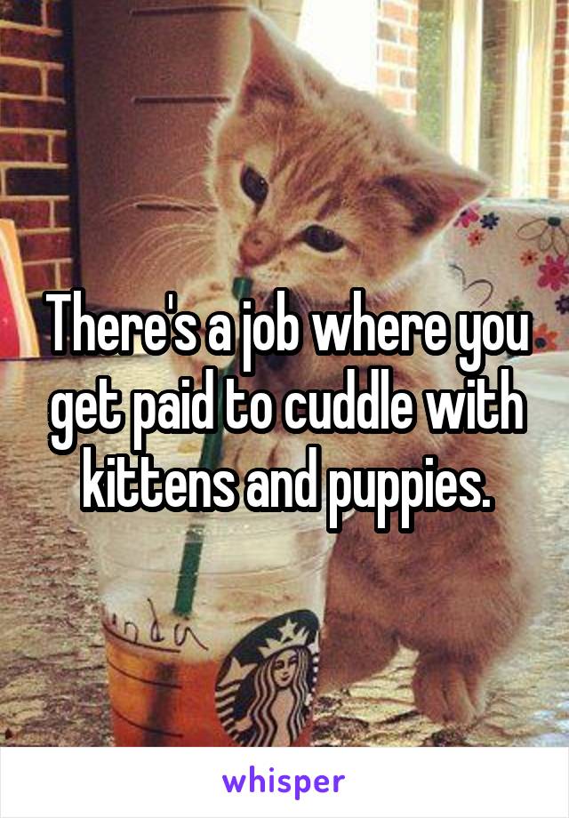 There's a job where you get paid to cuddle with kittens and puppies.