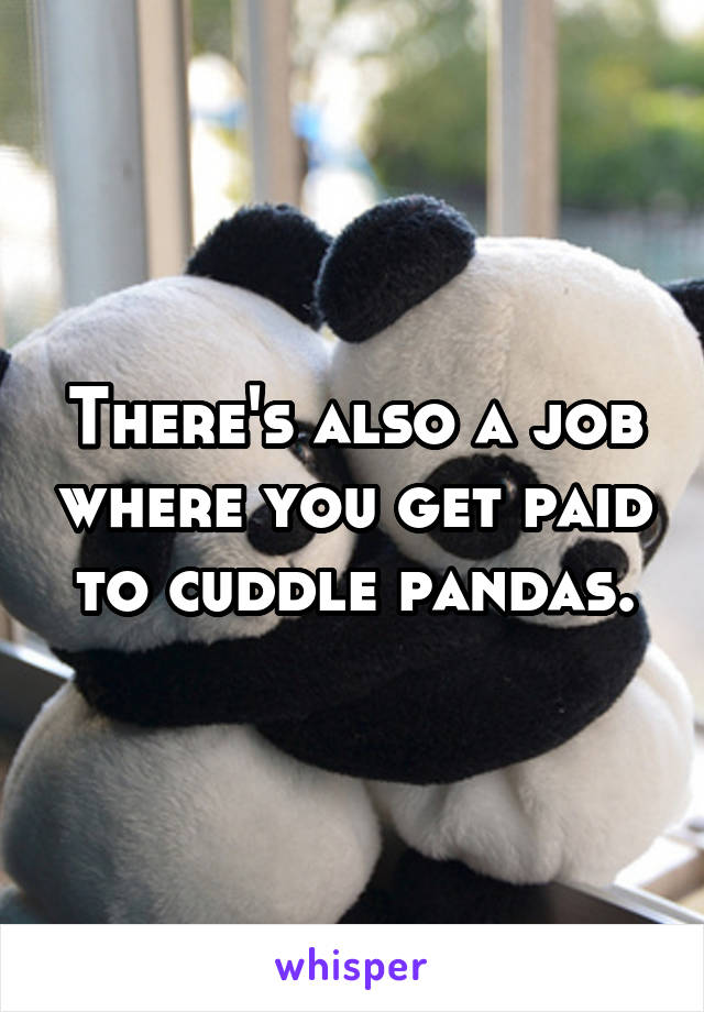 There's also a job where you get paid to cuddle pandas.