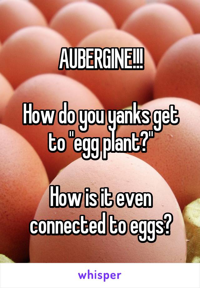 AUBERGINE!!!

How do you yanks get to "egg plant?"

How is it even connected to eggs?