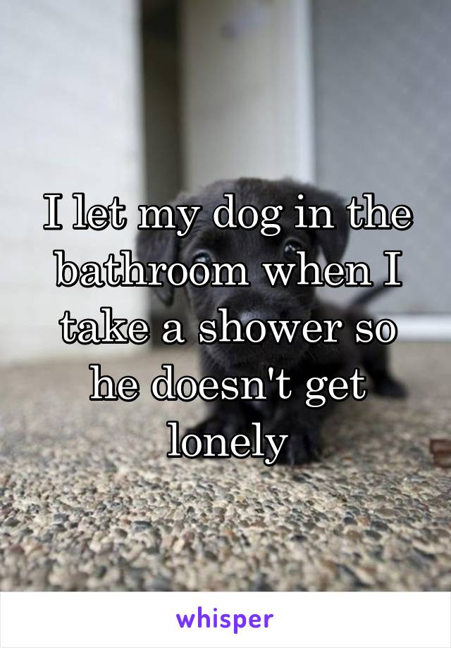 I let my dog in the bathroom when I take a shower so he doesn't get lonely