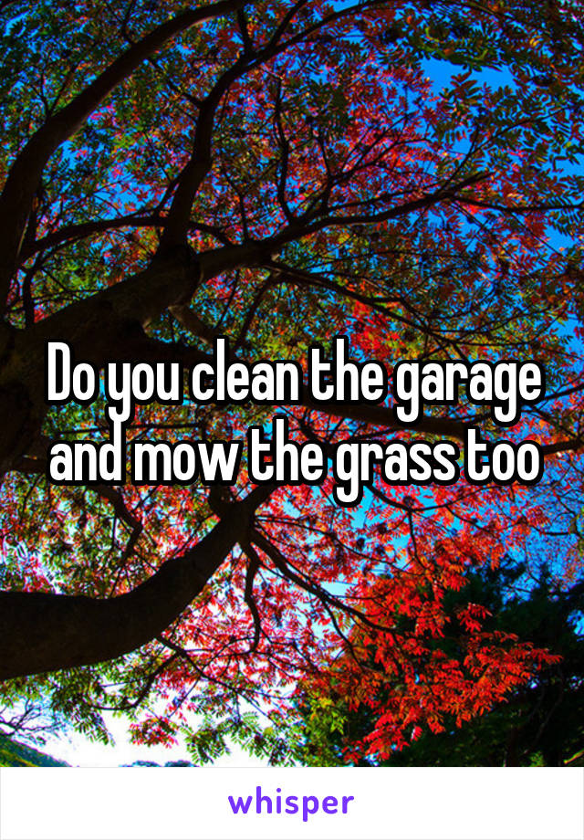 Do you clean the garage and mow the grass too