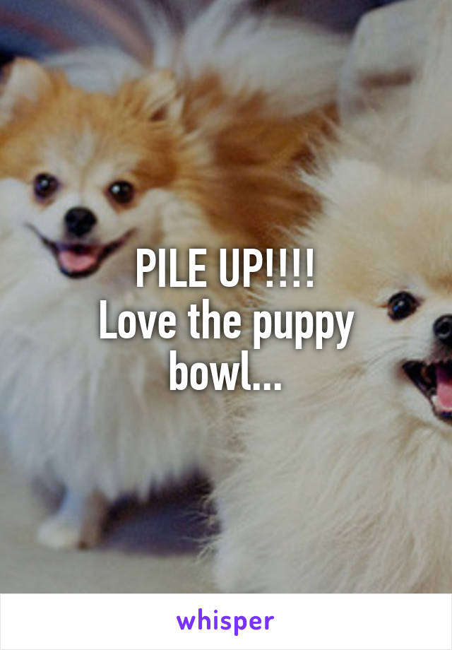 PILE UP!!!!
Love the puppy bowl...