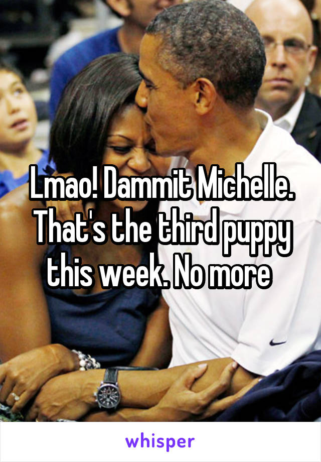 Lmao! Dammit Michelle. That's the third puppy this week. No more 