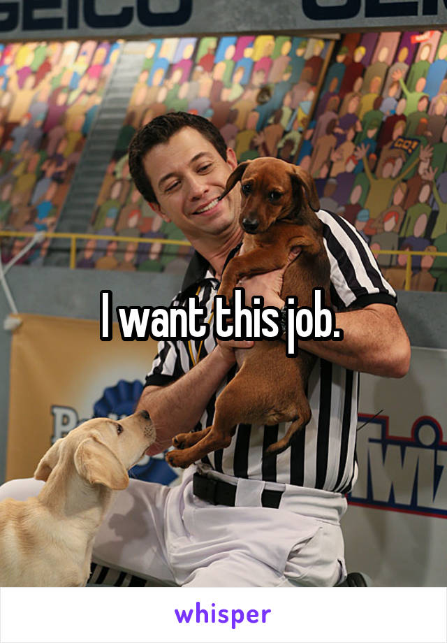 I want this job. 