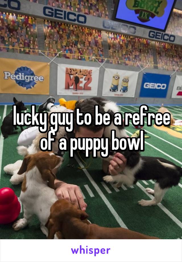 lucky guy to be a refree of a puppy bowl