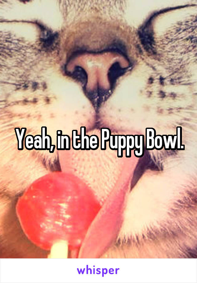 Yeah, in the Puppy Bowl.