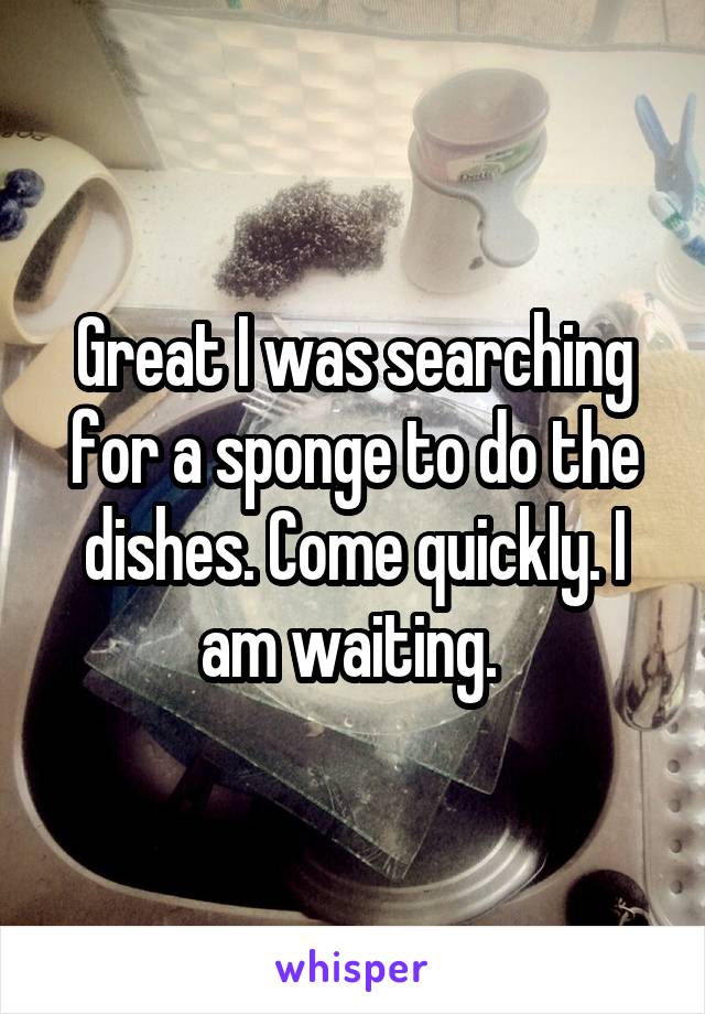 Great I was searching for a sponge to do the dishes. Come quickly. I am waiting. 