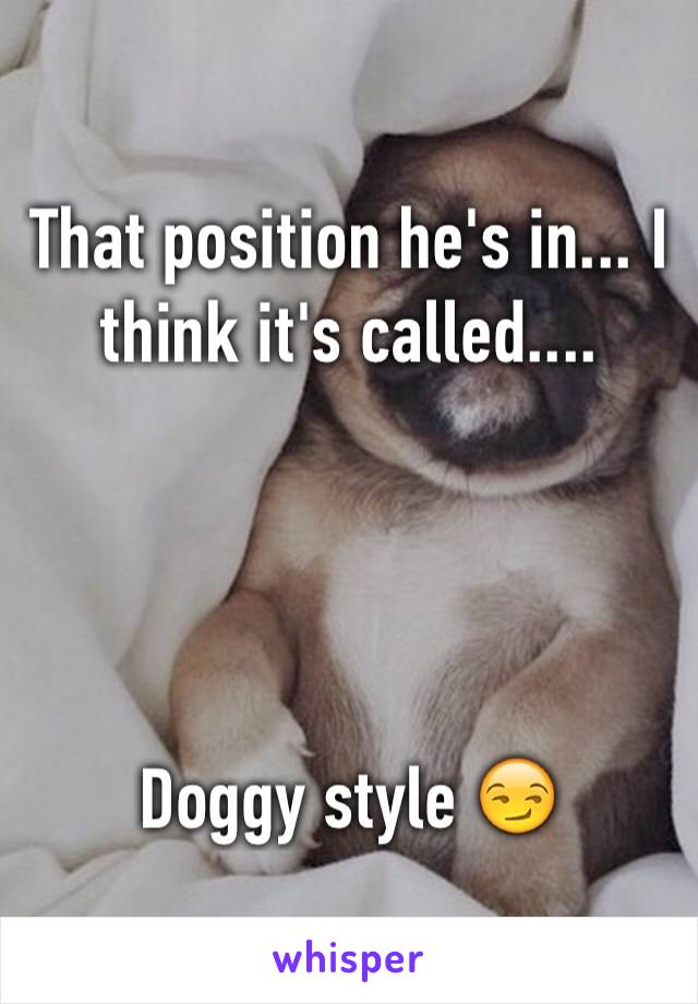 That position he's in... I think it's called....




Doggy style 😏