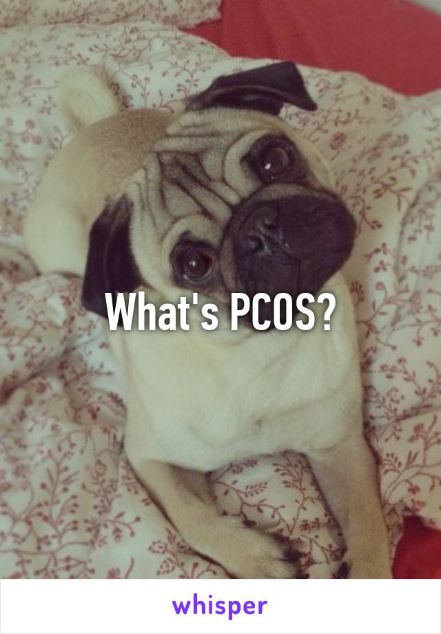 What's PCOS?