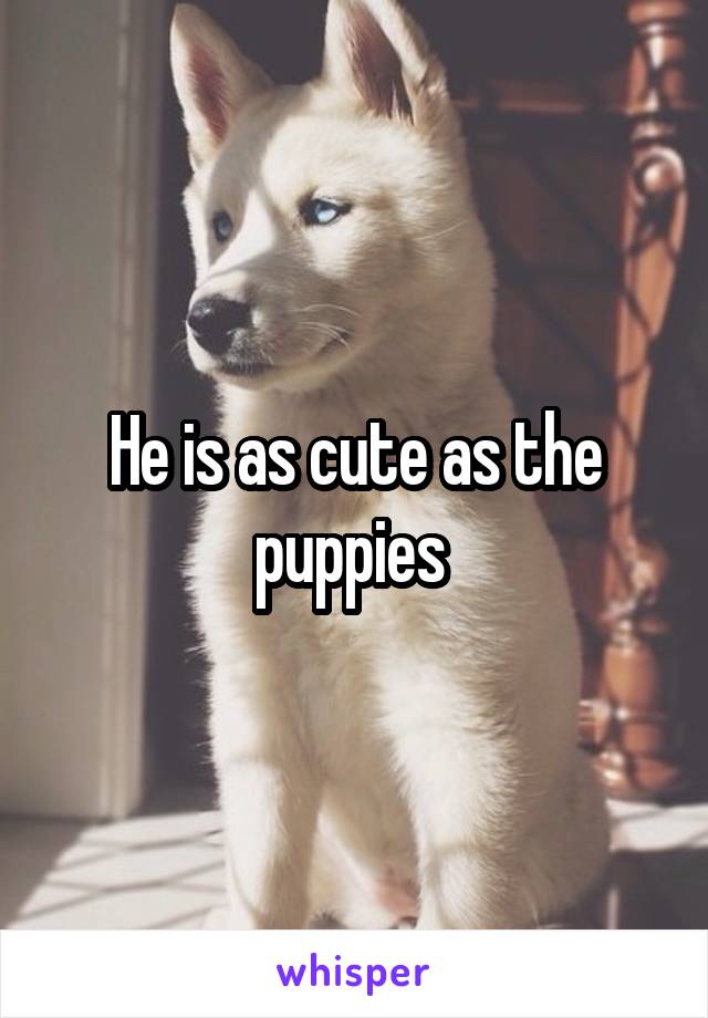 He is as cute as the puppies 